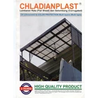 Fiber Plat Transparant Chladian flat (0.8 mm) 2